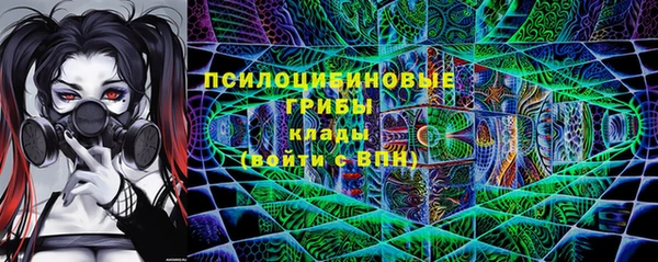 амф Алексин