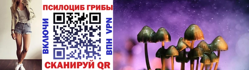Псилоцибиновые грибы мицелий  omg как войти  Евпатория 